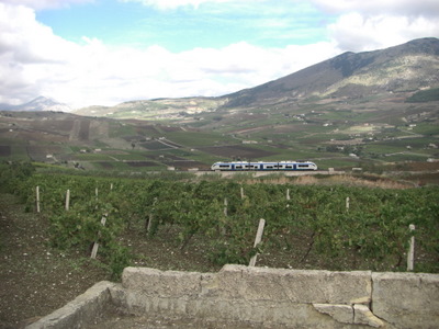 Sicilian Countryside.